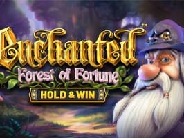 Enchanted Forest Of Fortune screenshot